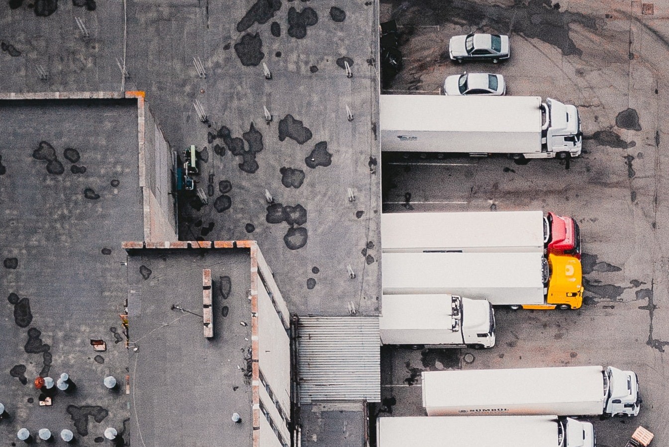 Burger with cheddar and bacon